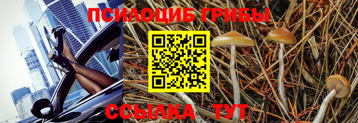 Галлюциногенные грибы Psilocybine cubensis  что такое наркотик  Щёлково  Вход с VPN 
