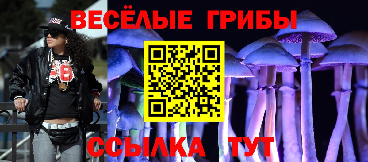 Псилоцибиновые грибы Cubensis Щёлково